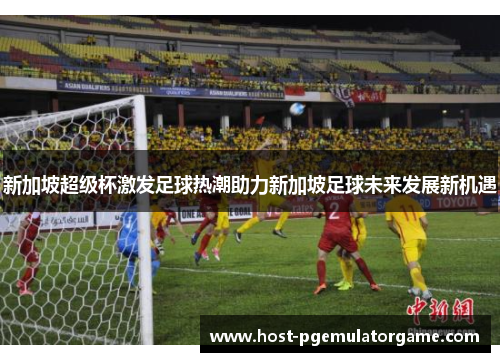 新加坡超级杯激发足球热潮助力新加坡足球未来发展新机遇