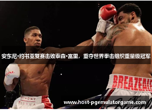 安东尼·约书亚复赛击败泰森·富里,重夺世界拳击组织重量级冠军 安东尼·约书亚复赛击败泰森·富里,重夺世界拳击组织重量级冠军